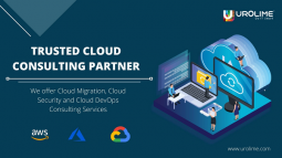 Trusted Cloud Consulting Partner in US