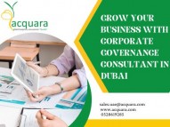 Corporate Governance Consultant in Dubai, UAE