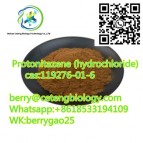 Protonitazene (hydrochloride),cas:119276-01-6