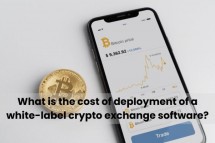 What is the cost of deployment of a white-label crypto exchange software?