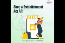 Best Online Shop Registration API Provider company