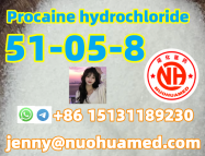 Procaine hydrochloride      51-05-8