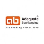 Virtual Accounting Services in USA