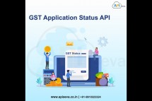 Best gst application status api provider company