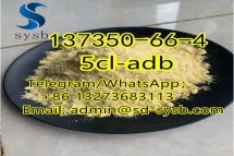21 A  137350-66-4 5cl-adbHot sale in Mexico