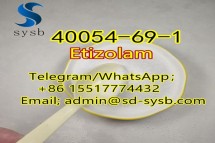 46 A  40054-69-1 EtizolamLower price