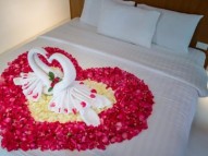 Andaman honeymoon package | Andaman Nicobar honeymoon package