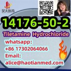 Tiletamine Hydrochloride 14176-50-2