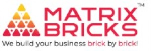 Create Online Store with Expert eCommerce Website Development - Matrix Bricks