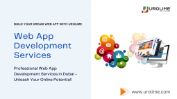 Professional Web App Development Services in Dubai