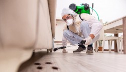 Al Waha Hygiene: Your Trusted Partner for Reliable Pest Control Service in Dubai