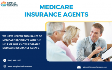 JOIN SIMPLER HORIZONS AS A MEDICARE AGENT- 8669001957