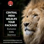 Central India Wildlife Tour Package | Exclusive India Journeys