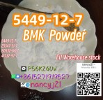 BMK powder 5449-12-7 41232-97-7 80532-66-7 P2p APAAN Warehouse pickup