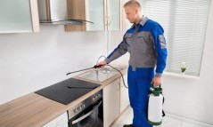 Need to Know the Top Home Disinfection Services in Dubai?
