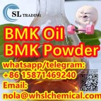 new bmk glycidic acid oil/powder vendor,new 5413-05-8,1451-83-8,10250-27-8,108897-28-5,20320-59-6