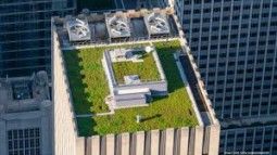 Roof Restoration Companies In NYC
