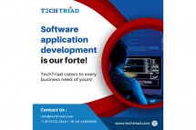 Customized Business Application Development from https://techtriad.com