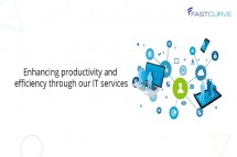 IT Consulting Company