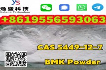 High Purity Factory Price CAS 5449-12-7 BMK Chemical Powder