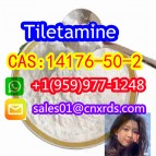 sell CAS:14176-50-2    Tiletamine 100% safe delivery