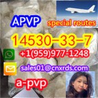 The most popular CAS:14530-33-7    APVP Special line transport