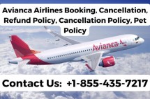 How Do I Know Avianca Airlines Cancellation Policy?