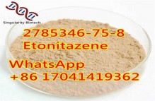 Etonitazene 2785346-75-8 The most popular l4