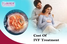 How Much Cost Of IVF Treatment-lowcostivftreatment