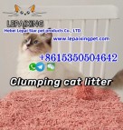 Fresh and Dust-Free Green Plant-Based Tofu Cat Litter whatsapp+8615350504642