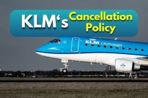 Are you curious about KLM