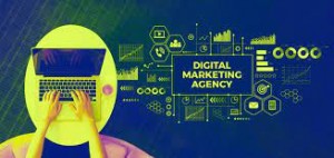 Perfect Marketing Solution : The Digital Marketing Expert Company
