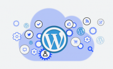 Custom Wordpress Development Services