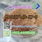 clenbuterol CAS 37148-27-9