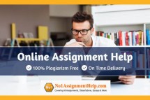 Online Assignment Help For Students By No1AssignmentHelp.Com