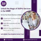 Success Unveiled: The Ultimate Guide to Corporate PRO Services in Dubai