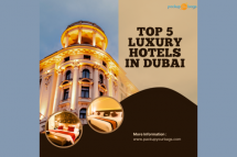 Budget-Friendly  Top 5 Luxury Hotels in Dubai
