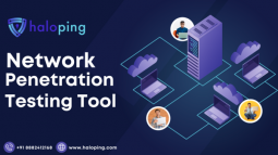 Haloping Offers Unmatched Network Penetration Testing Services