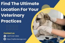 Find The Ultimate Location For Your Veterinary Practices