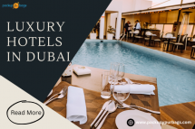 Luxury Top Hotels in Dubai You Must Experience