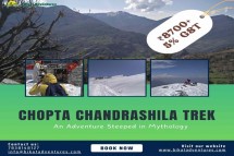 Divine Trails: Unveiling Mysteries on the Chopta Chandrashila Trek