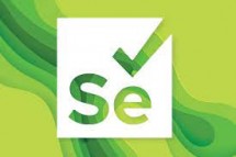 Selenium Training In Chennai