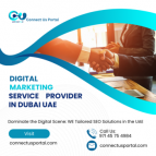 Dominate the Digital Scene: Connect Us Portal