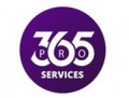 Seamless Solutions, Stellar Results: 365 PRO Services Leads the Way in Dubai
