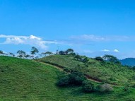 Get the Perfect Farmland to Buy in Costa Rica