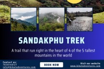 Discover the Majesty: Sandakphu Trek – A Journey Beyond Boundaries