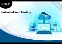 Unlimited Web Hosting for Seamless Online Performance from VNET India