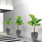 Buy Decorative Plant Pots & Planter Online in Dubai