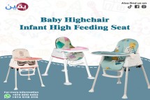 2-in-1 Baby Highchair Infant High Feeding Seat