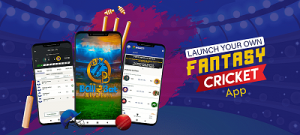 Top Fantasy Cricket App Developers in India